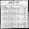 Volkszählung USA 1900